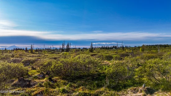 See full size image and slideshow Thumbnail 3