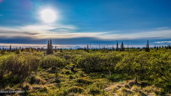 See full size image and slideshow Thumbnail 4