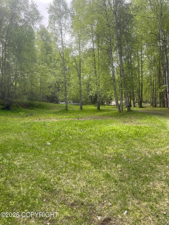 See full size image and slideshow Thumbnail 3