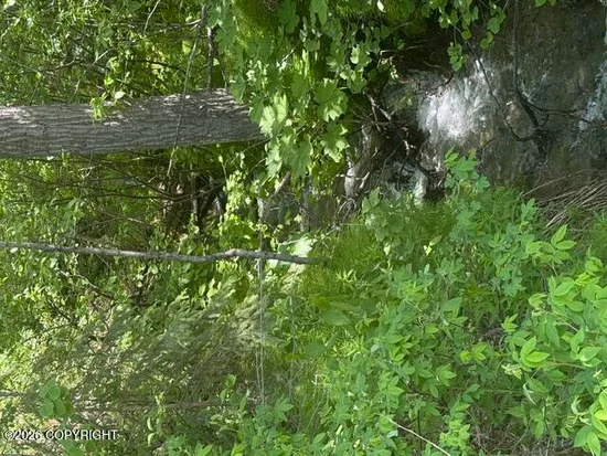 See full size image and slideshow Thumbnail 1
