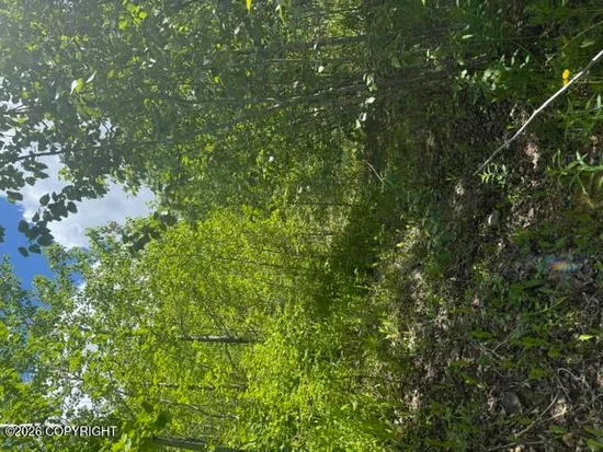 See full size image and slideshow Thumbnail 2