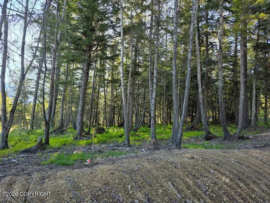 See full size image and slideshow Thumbnail 1