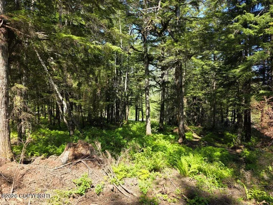See full size image and slideshow Thumbnail 2