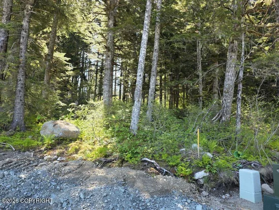 See full size image and slideshow Thumbnail 1