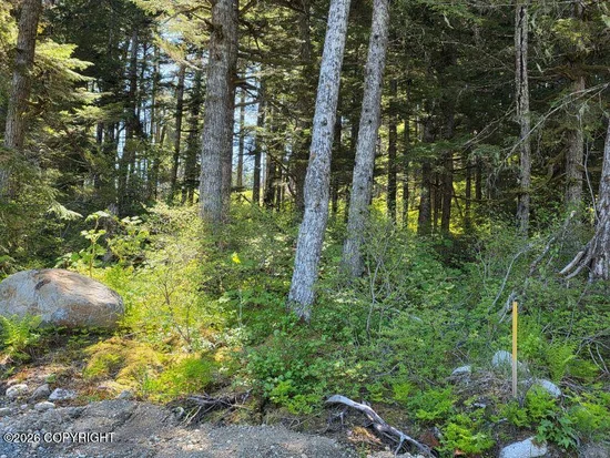 See full size image and slideshow Thumbnail 1