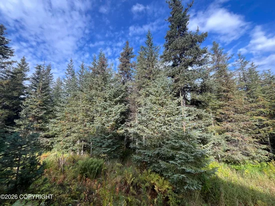 See full size image and slideshow Thumbnail 2