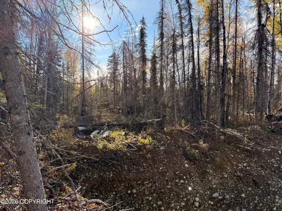 See full size image and slideshow Thumbnail 2
