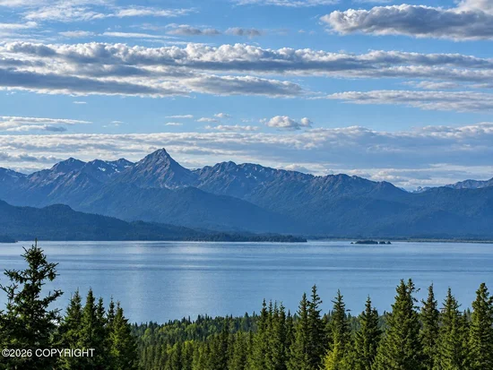 See full size image and slideshow Thumbnail 1
