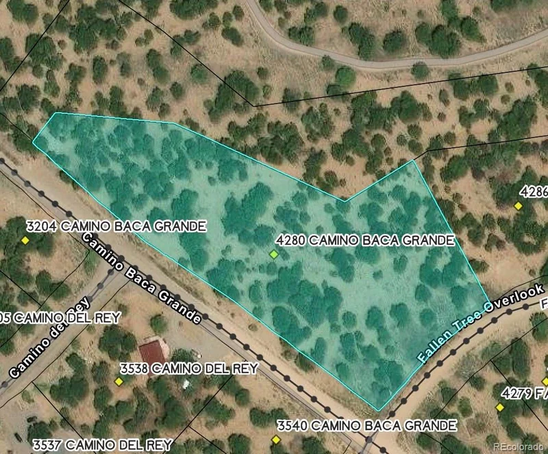 4280 Camino Baca Grande, Crestone, CO 81131 | $108,000