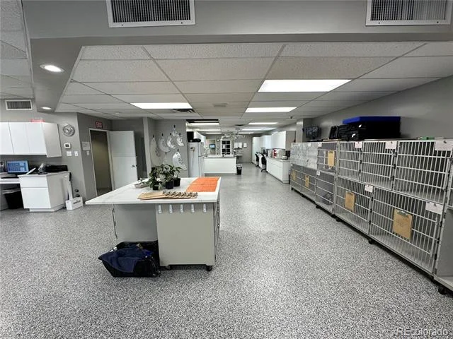 Main gallery image