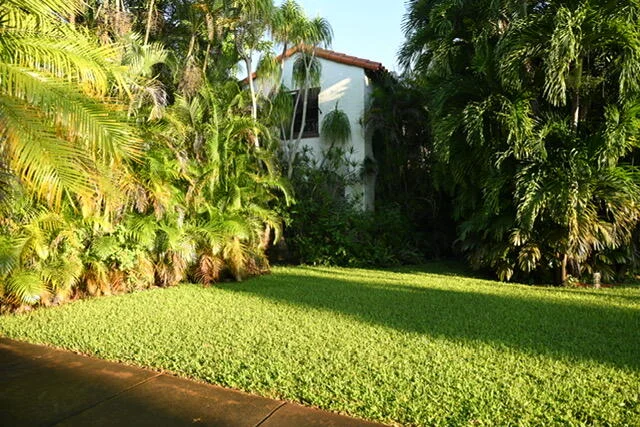 Main gallery image
