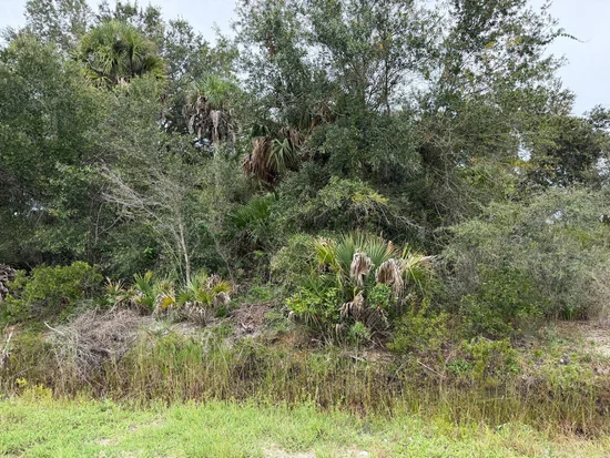 See full size image and slideshow Thumbnail 1