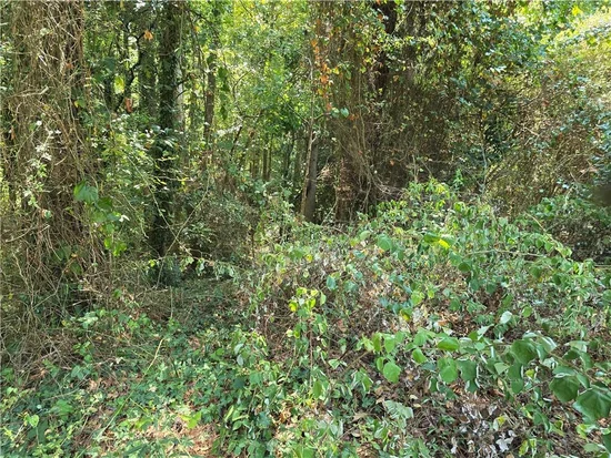 See full size image and slideshow Thumbnail 1