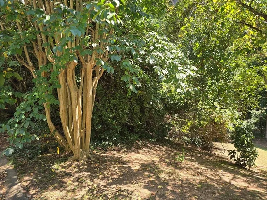 See full size image and slideshow Thumbnail 3