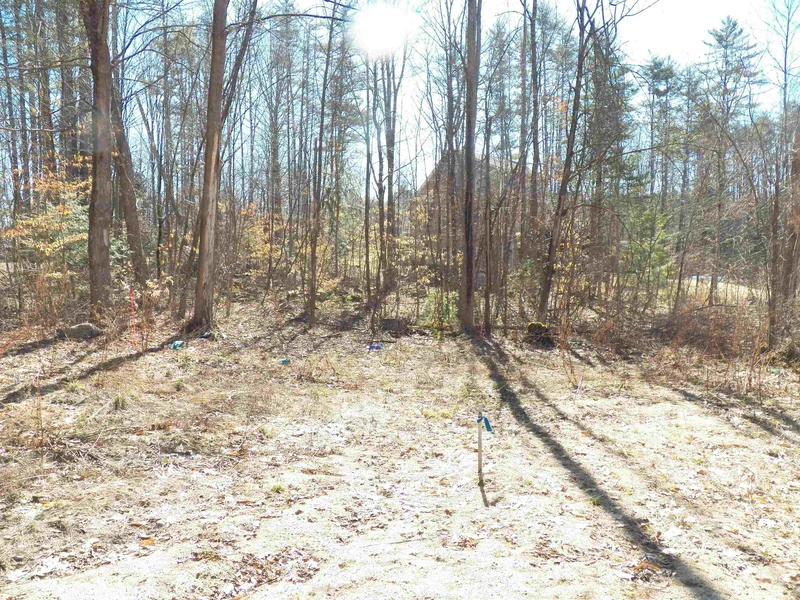 Main gallery image