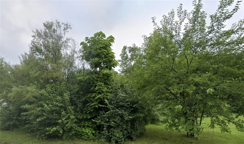 Main gallery image
